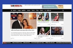 BD NEWS PRO (newspaper website)